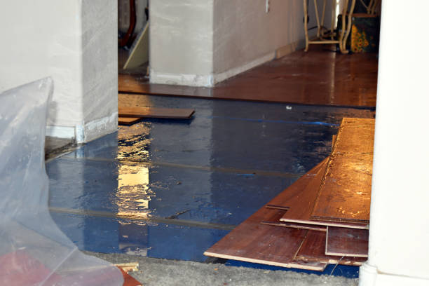 Professional Burst Pipe Cleanup technician working in North Truro, MA
